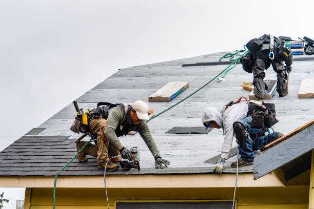 Professional Gutter Installation technician working in Mount Ida, AR